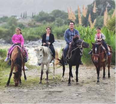 Paseo en Caballos